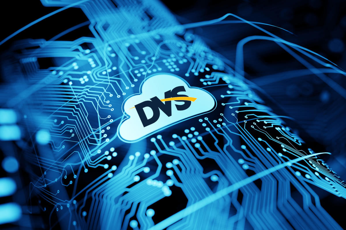 DVS background