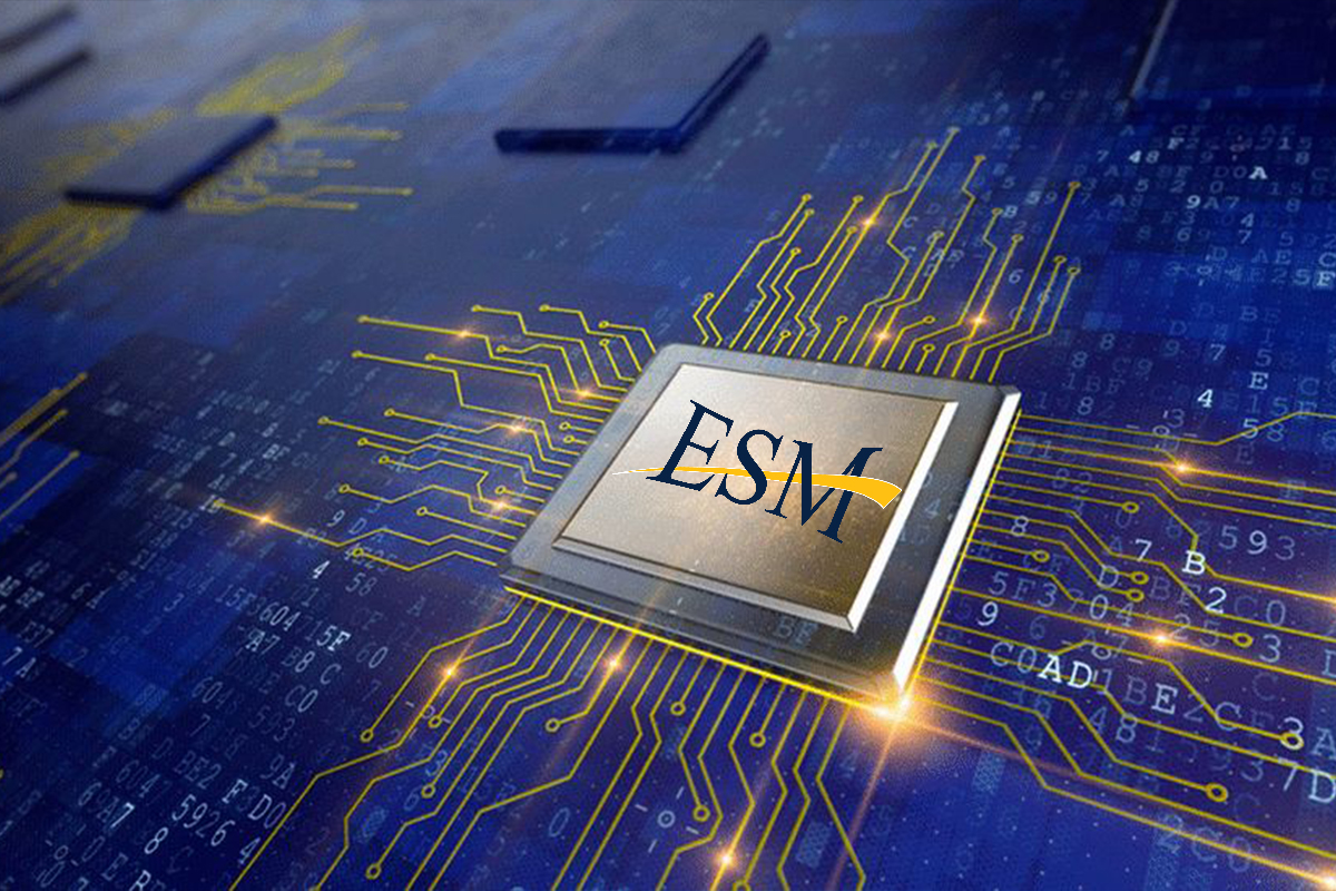 ESM background